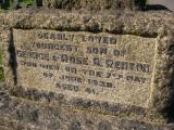 image of grave number 171775